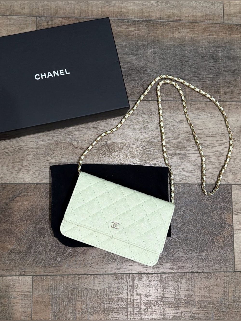 Chanel 22C Mint Green Quilted Wallet On Chain Bag - Picture 3 of 12